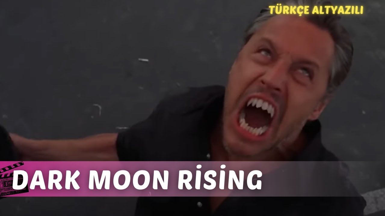 Dark Moon Rising Rotten Tomatoes Dark Moon Rising